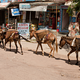 Image for article titled A Bad Romance in India, and the Donkey Dick That Ended It All